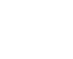logo-projects-ford.png
